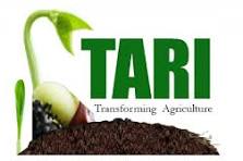 TARI