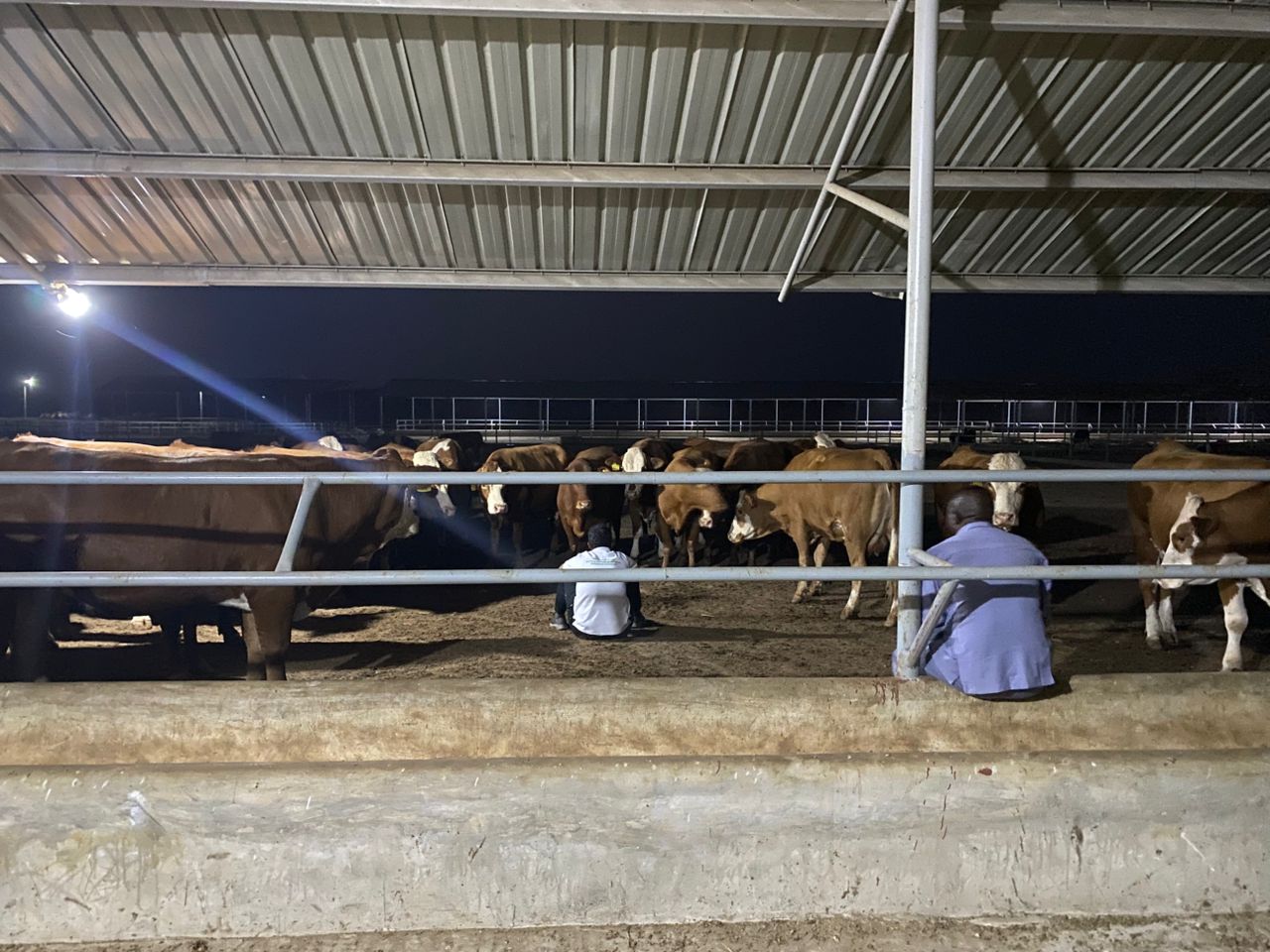Dairy Barn Interior