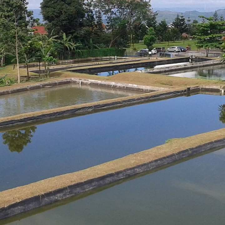 Fish Farming Operation