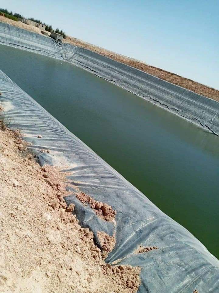 Aquaculture Pond